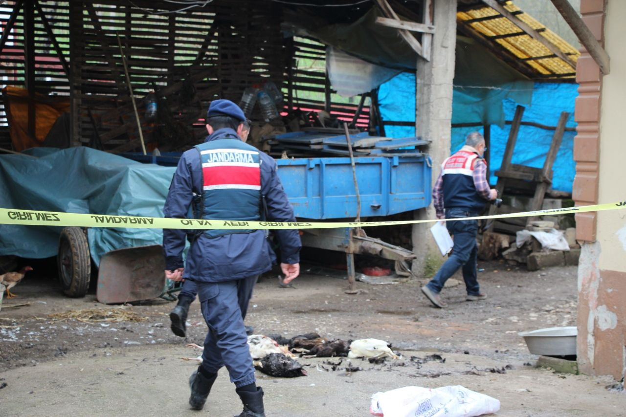 Akyazı'da Dehşet Anı: Horoz Yüzünden Tüfekle 7 Tavuk Katledip, Dayısının Evine Ateş Açtı! - Sayfa 7