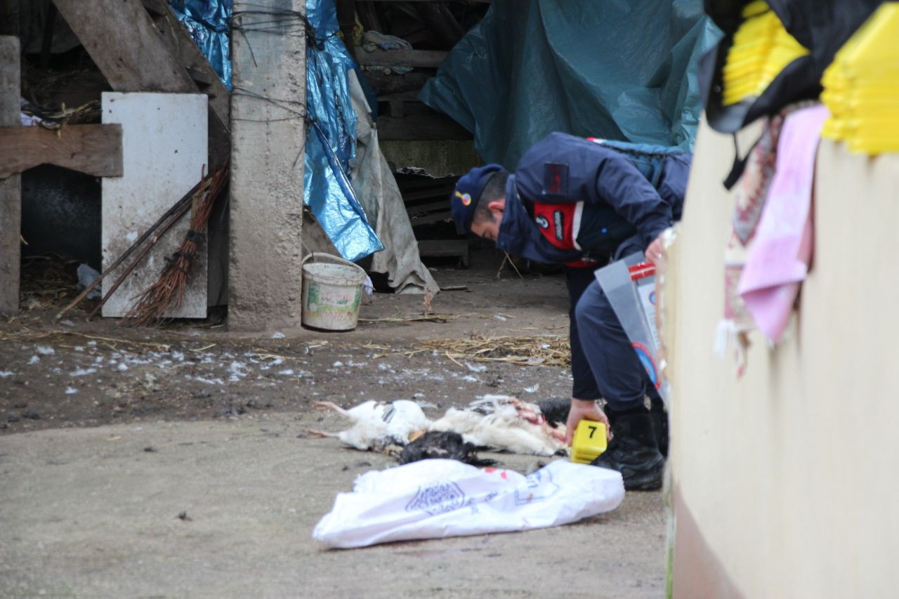 Akyazı'da Dehşet Anı: Horoz Yüzünden Tüfekle 7 Tavuk Katledip, Dayısının Evine Ateş Açtı! - Sayfa 4