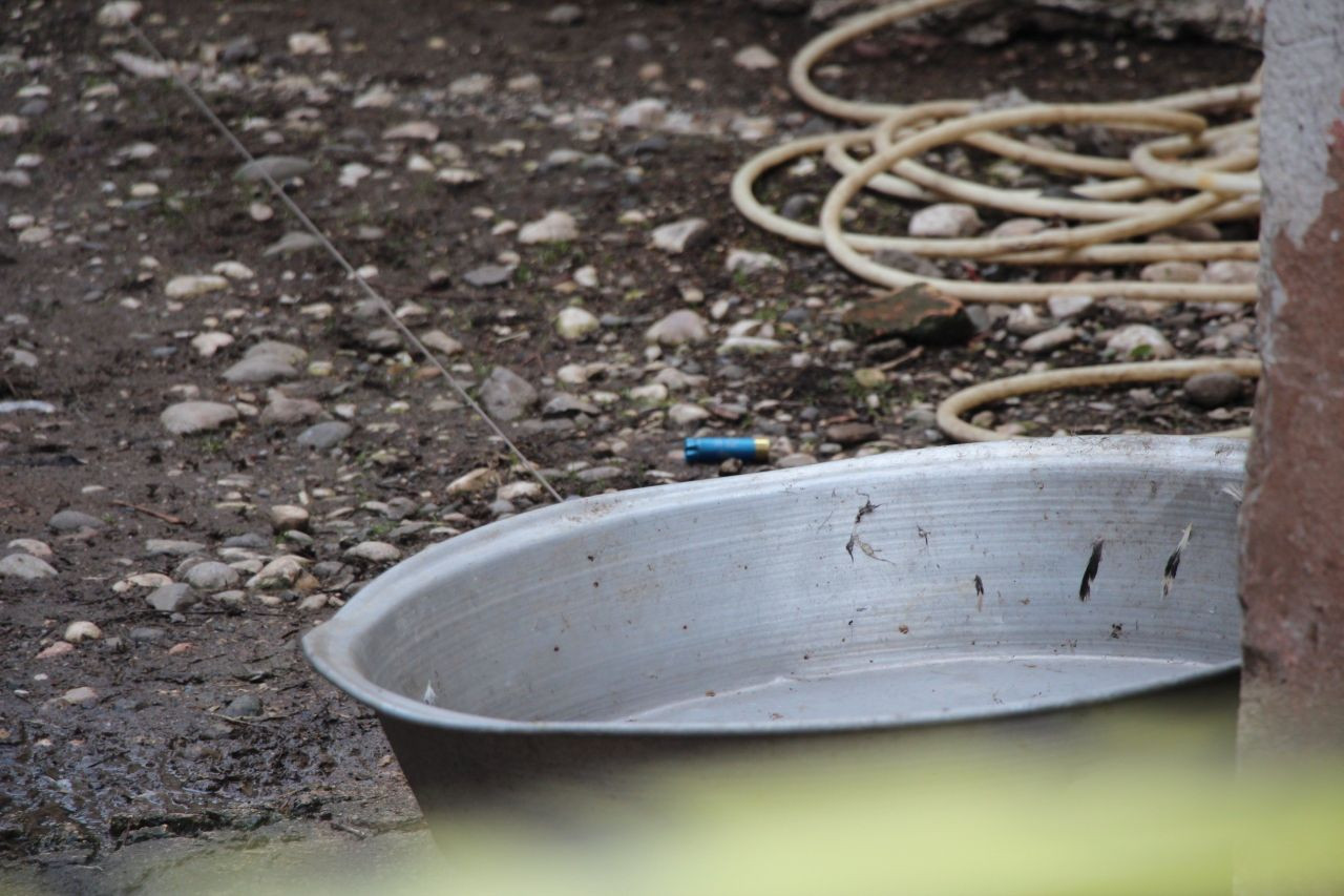Akyazı'da Dehşet Anı: Horoz Yüzünden Tüfekle 7 Tavuk Katledip, Dayısının Evine Ateş Açtı! - Sayfa 3