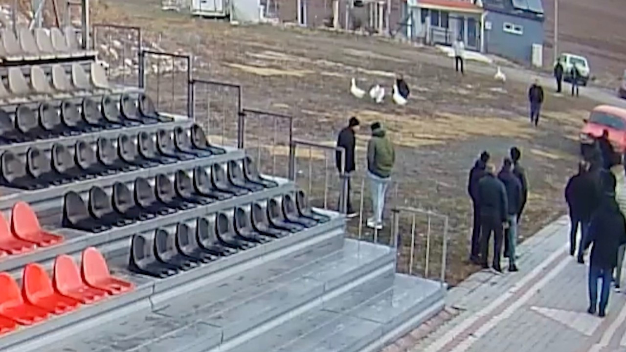 Çorum’da Kaz Dövüşü Baskını: 70 Kişiye Para Cezası