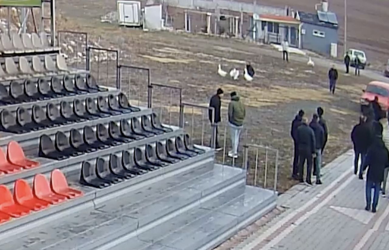 Çorum’da Kaz Dövüşü Baskını: 70 Kişiye Para Cezası - Sayfa 1