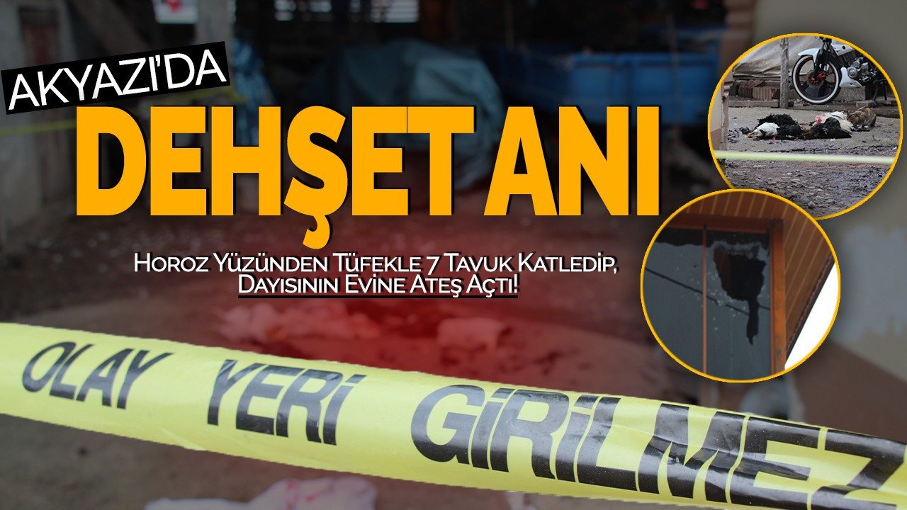 Akyazı'da Dehşet Anı: Horoz Yüzünden Tüfekle 7 Tavuk Katledip, Dayısının Evine Ateş Açtı!