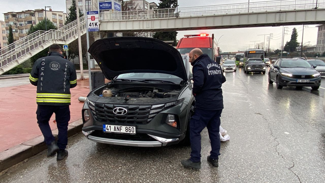 Motora saklanan kedi 13 kilometre yol gitti - Sayfa 6