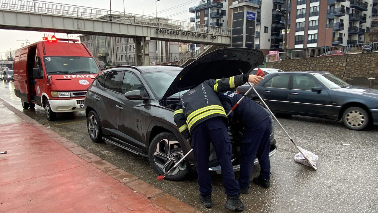 Motora saklanan kedi 13 kilometre yol gitti - Sayfa 3