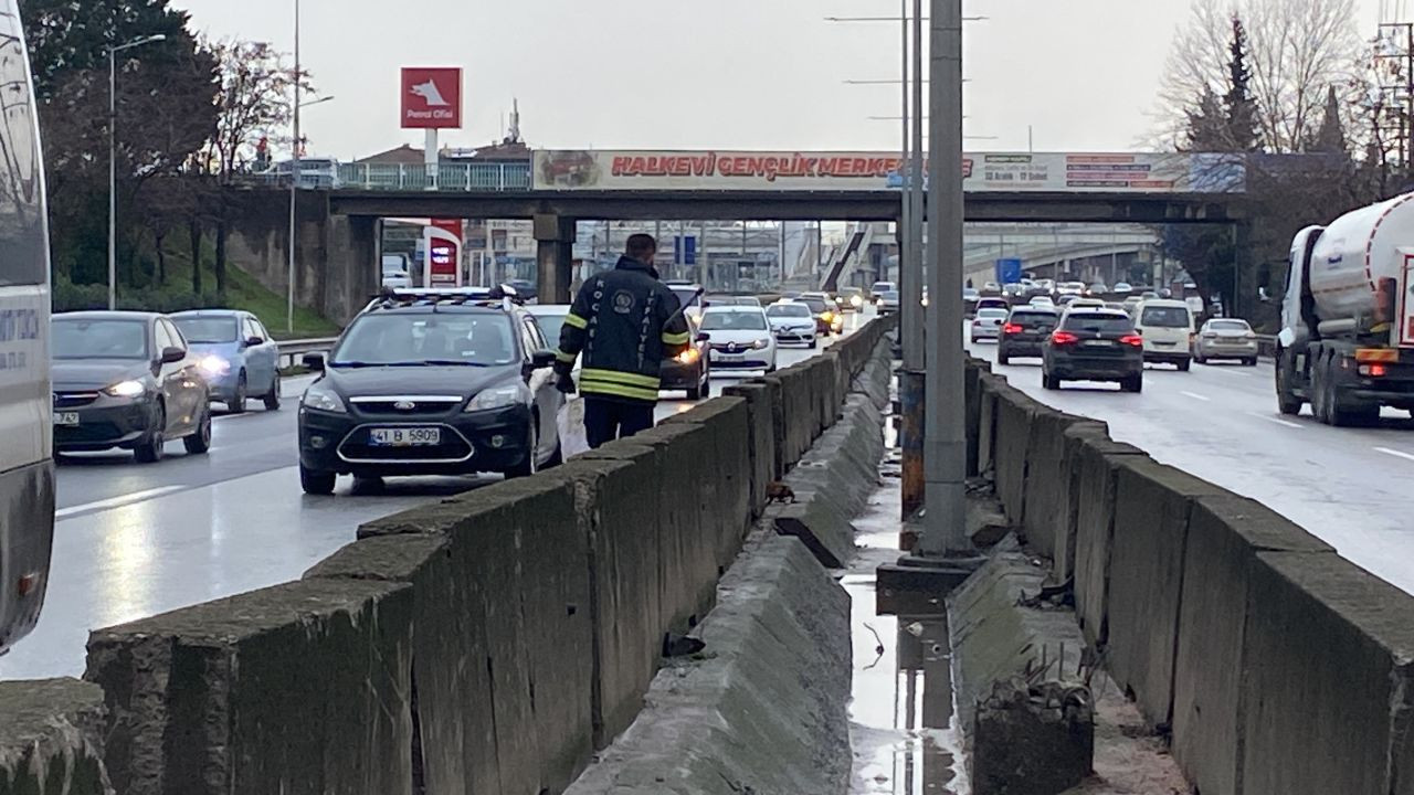 Motora saklanan kedi 13 kilometre yol gitti - Sayfa 2