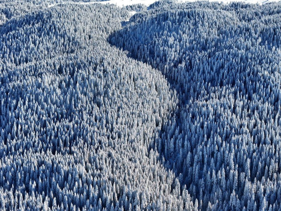 Bolu’nun dağlarında eşsiz manzara - Sayfa 1