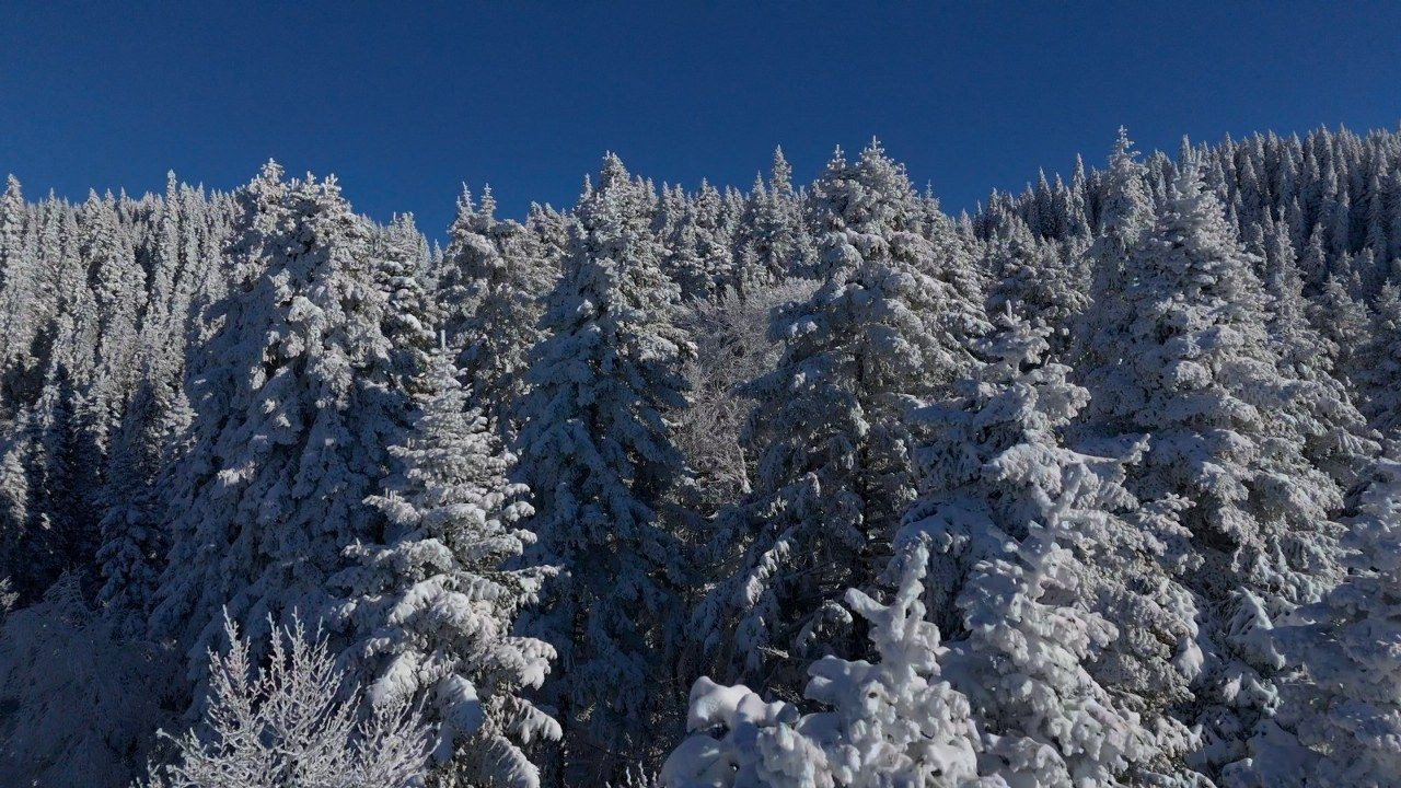 Bolu’nun dağlarında eşsiz manzara - Sayfa 3