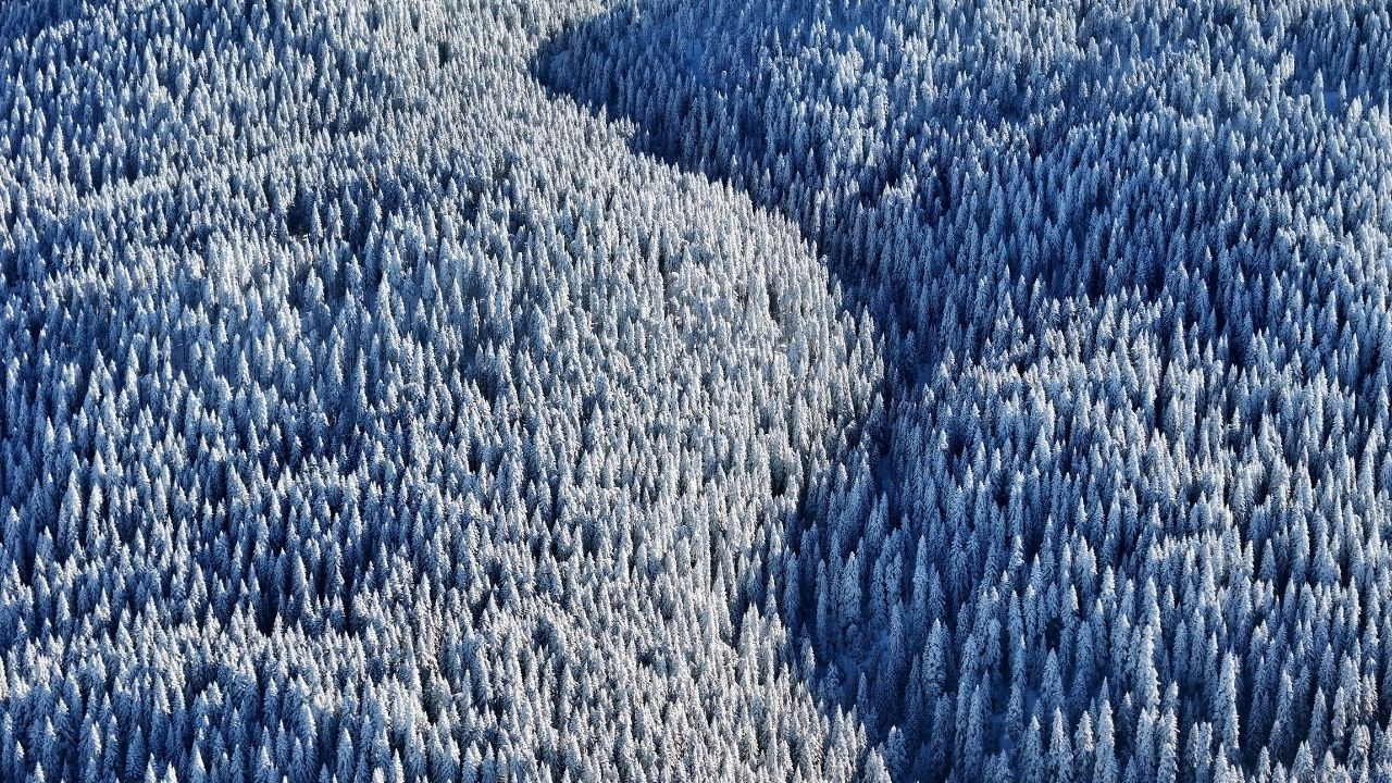 Bolu’nun dağlarında eşsiz manzara