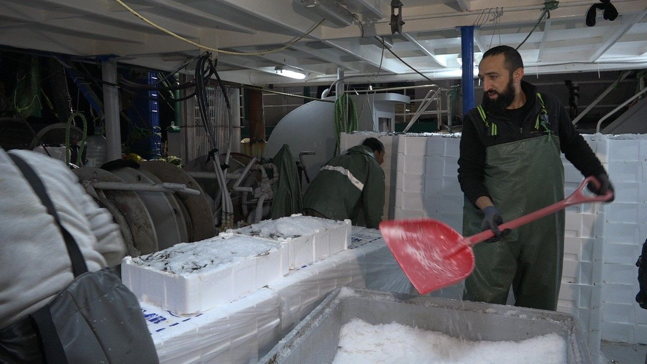 Hamsi, Balıkçıların Rotasını İğneada’ya Çevirdi - Sayfa 8