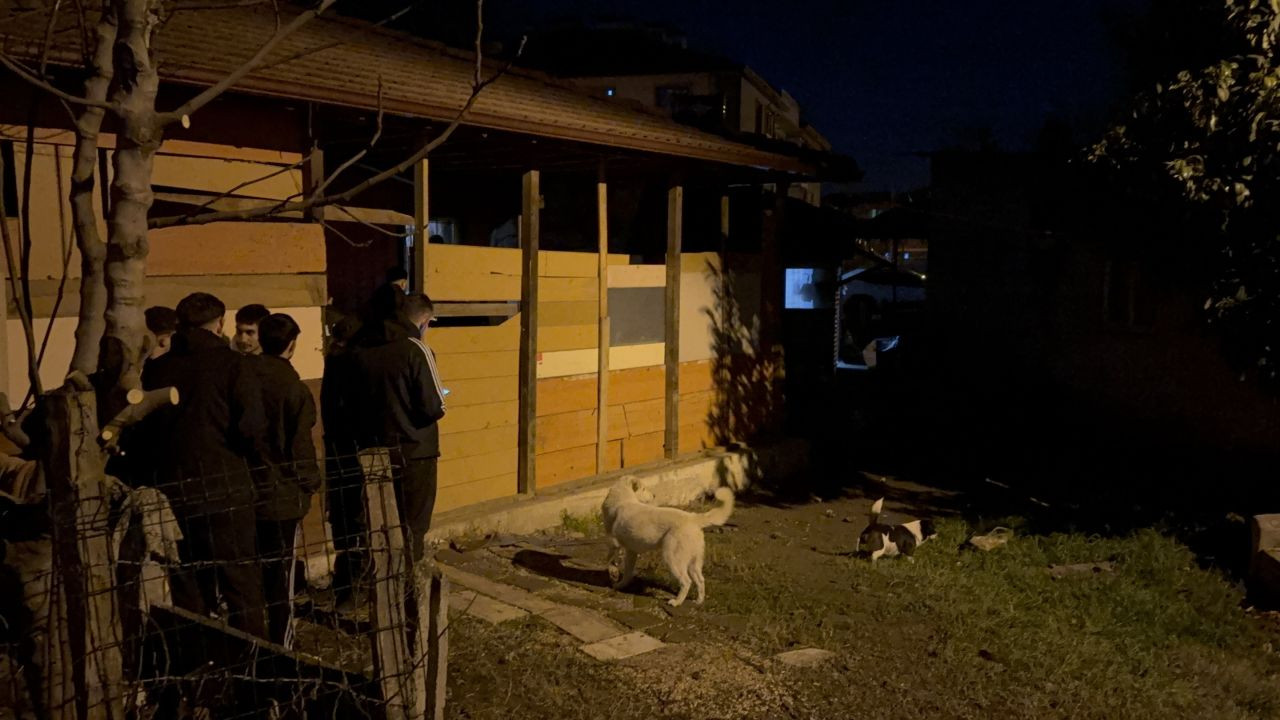 Düzce'de Bir Kişi Evinde Ölü Bulundu: Sadık Köpekleri Evden Ayrılmadı - Sayfa 2
