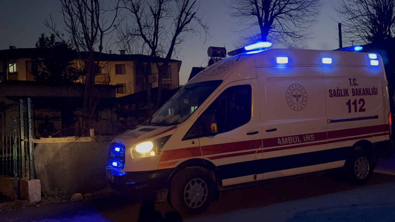 Düzce'de Bir Kişi Evinde Ölü Bulundu: Sadık Köpekleri Evden Ayrılmadı - Sayfa 5