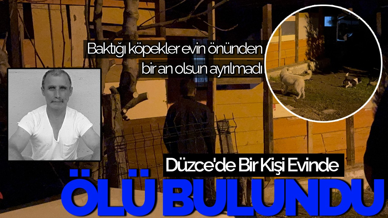 Düzce'de Bir Kişi Evinde Ölü Bulundu: Sadık Köpekleri Evden Ayrılmadı