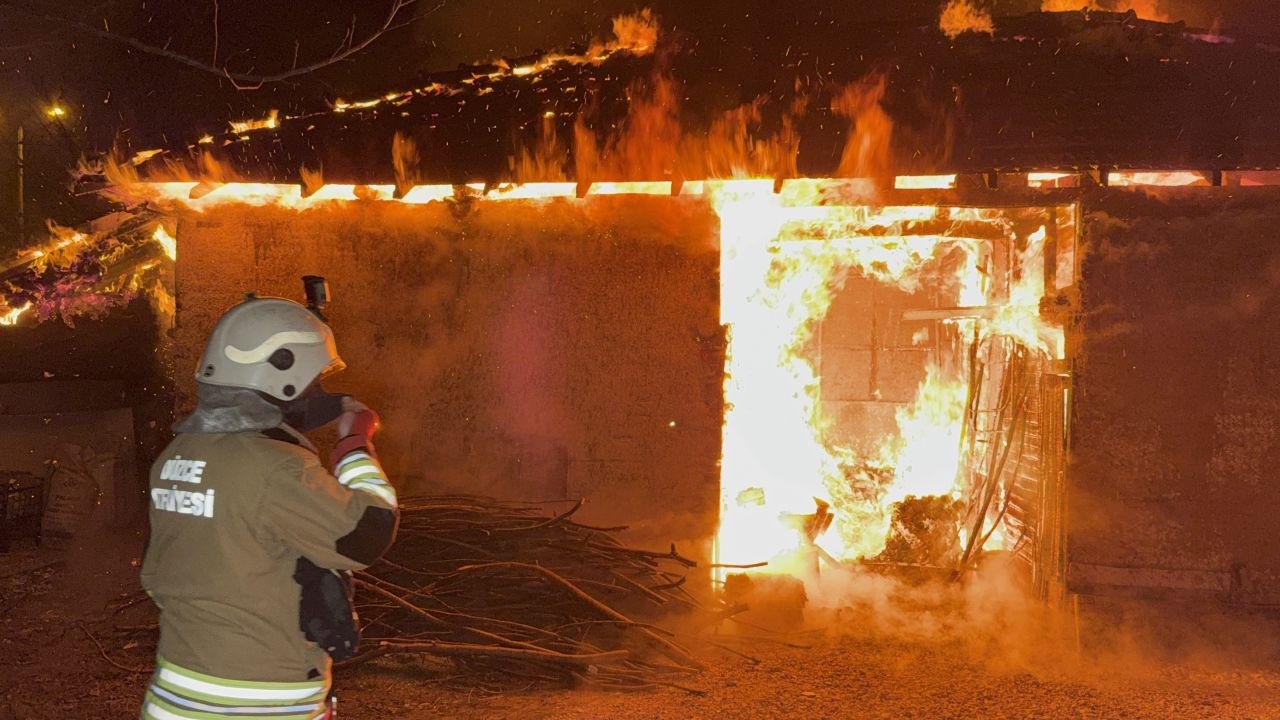 Düzce'de Baraka Alev Alev Yandı: 25 Kaz Yangından Kurtarıldı! - Sayfa 2