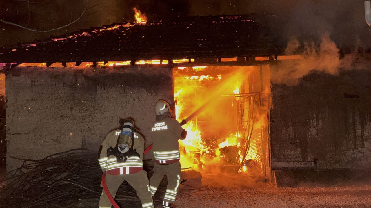 Düzce'de Baraka Alev Alev Yandı: 25 Kaz Yangından Kurtarıldı! - Sayfa 4