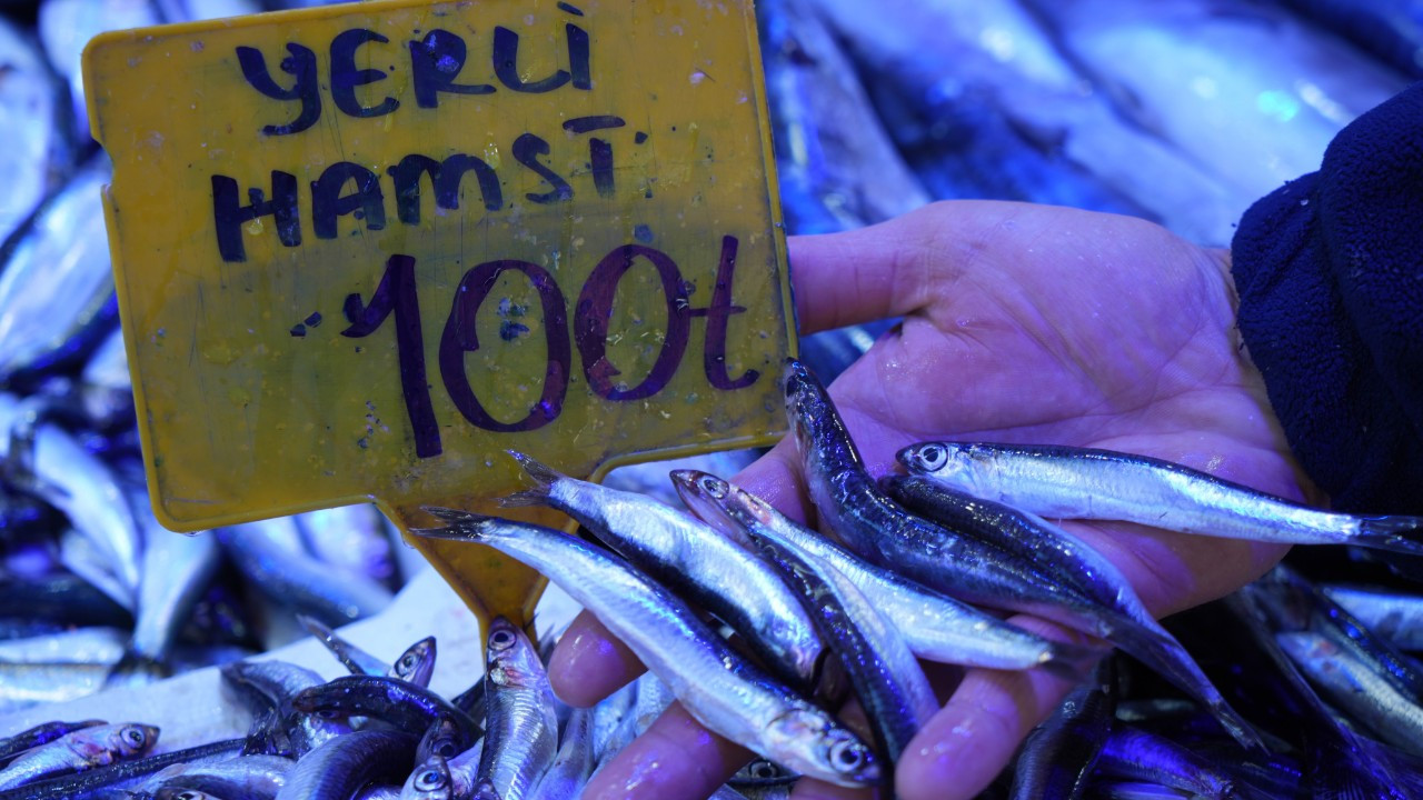 2024’te 200 TL olan hamsi 2025'te 100 TL’den satılıyor