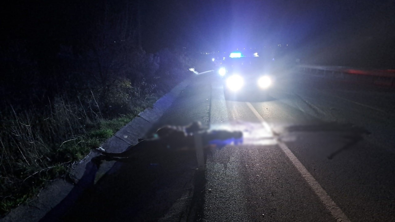 Aydın’da Motosiklet Sürücüsü Ata Çarparak Hayatını Kaybetti