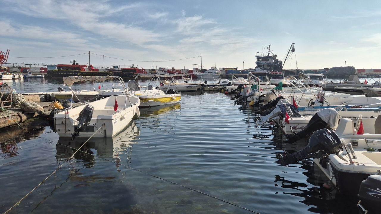 Marmara Denizi'nde Müsilaj Yeniden Ortaya Çıktı - Sayfa 1