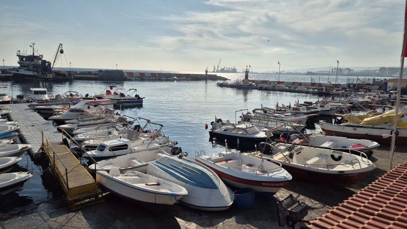 Marmara Denizi'nde Müsilaj Yeniden Ortaya Çıktı - Sayfa 4