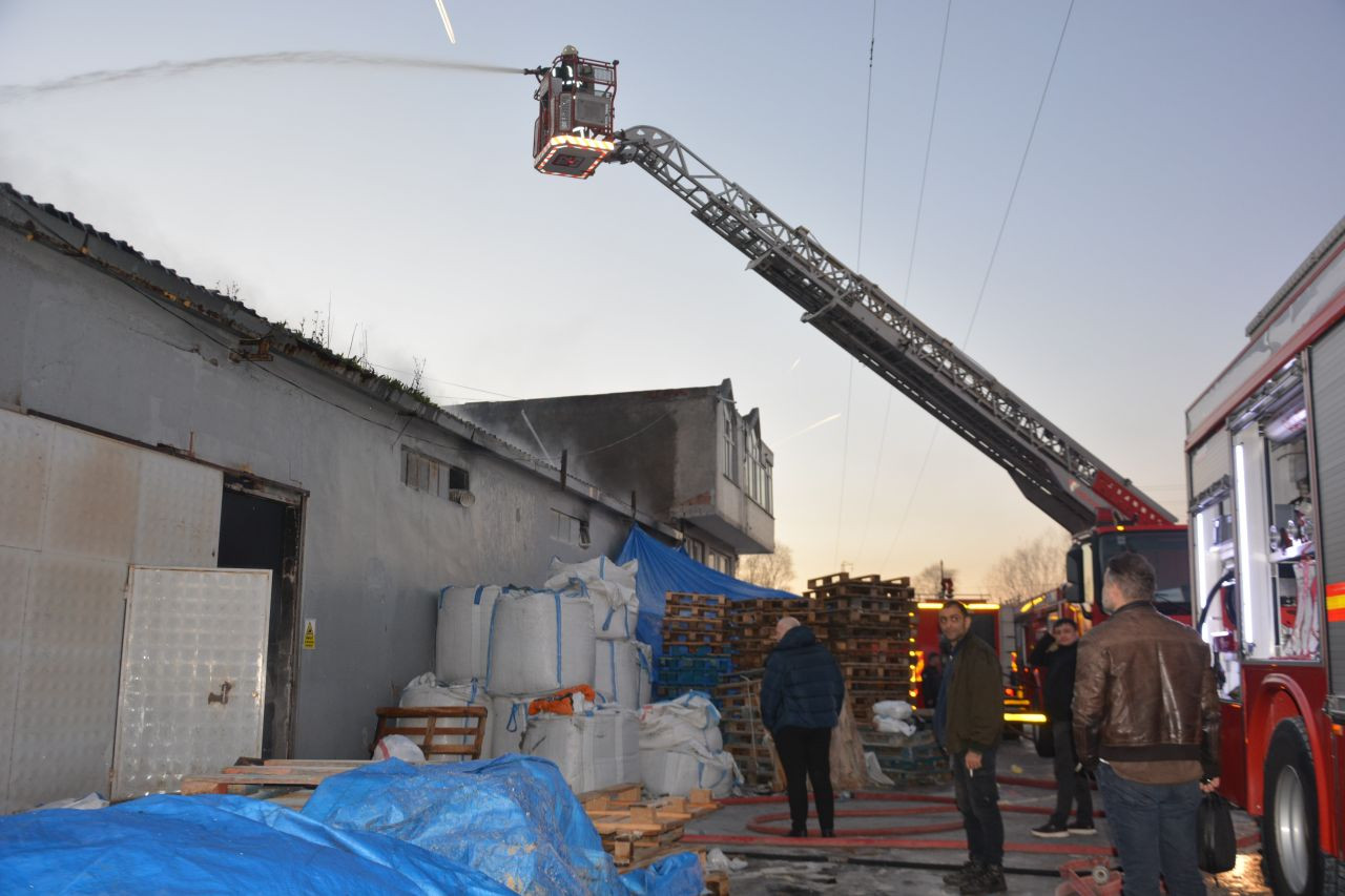 Ordu'da Kedi Kumu Paketleme Tesisindeki Yangın Korkuttu - Sayfa 2