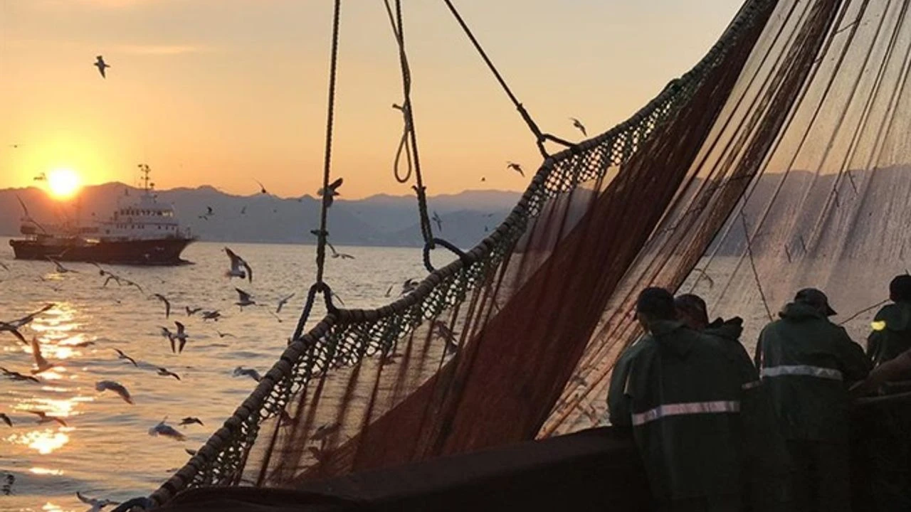 Balıkçılar Yeni Yılda Hamsi ve Çinekop Avından Umutlu - Sayfa 6