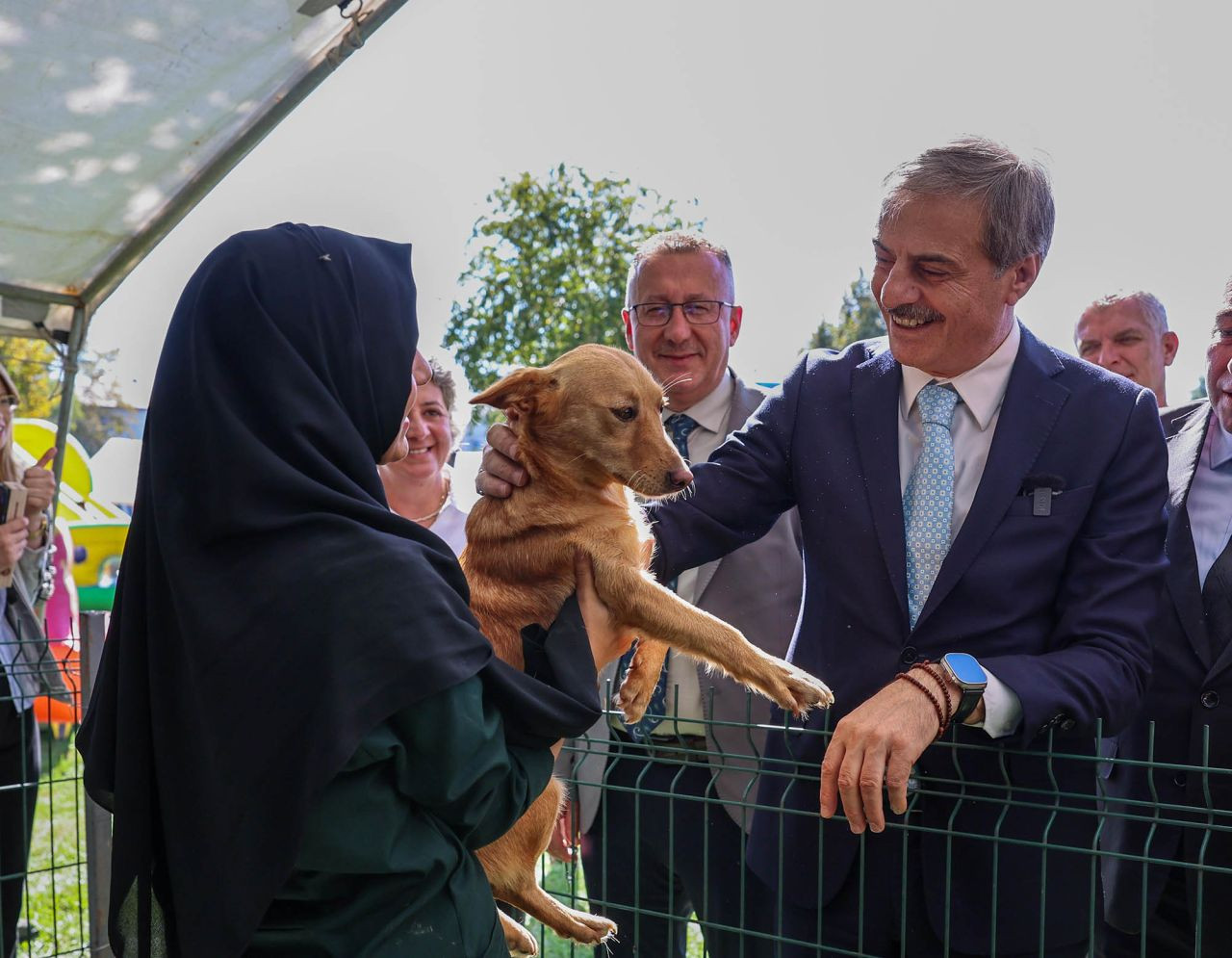 Büyükşehir Belediyesi’nden Sokak Hayvanlarına Şefkat Eli: 2024’te 206 Köpek ve 77 Kedi Yeni Yuvaya Kavuştu! - Sayfa 1