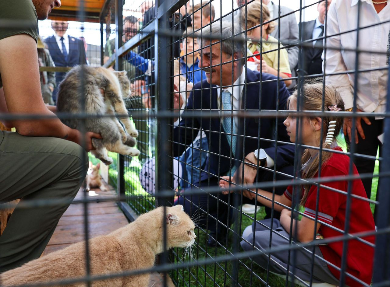 Büyükşehir Belediyesi’nden Sokak Hayvanlarına Şefkat Eli: 2024’te 206 Köpek ve 77 Kedi Yeni Yuvaya Kavuştu! - Sayfa 2