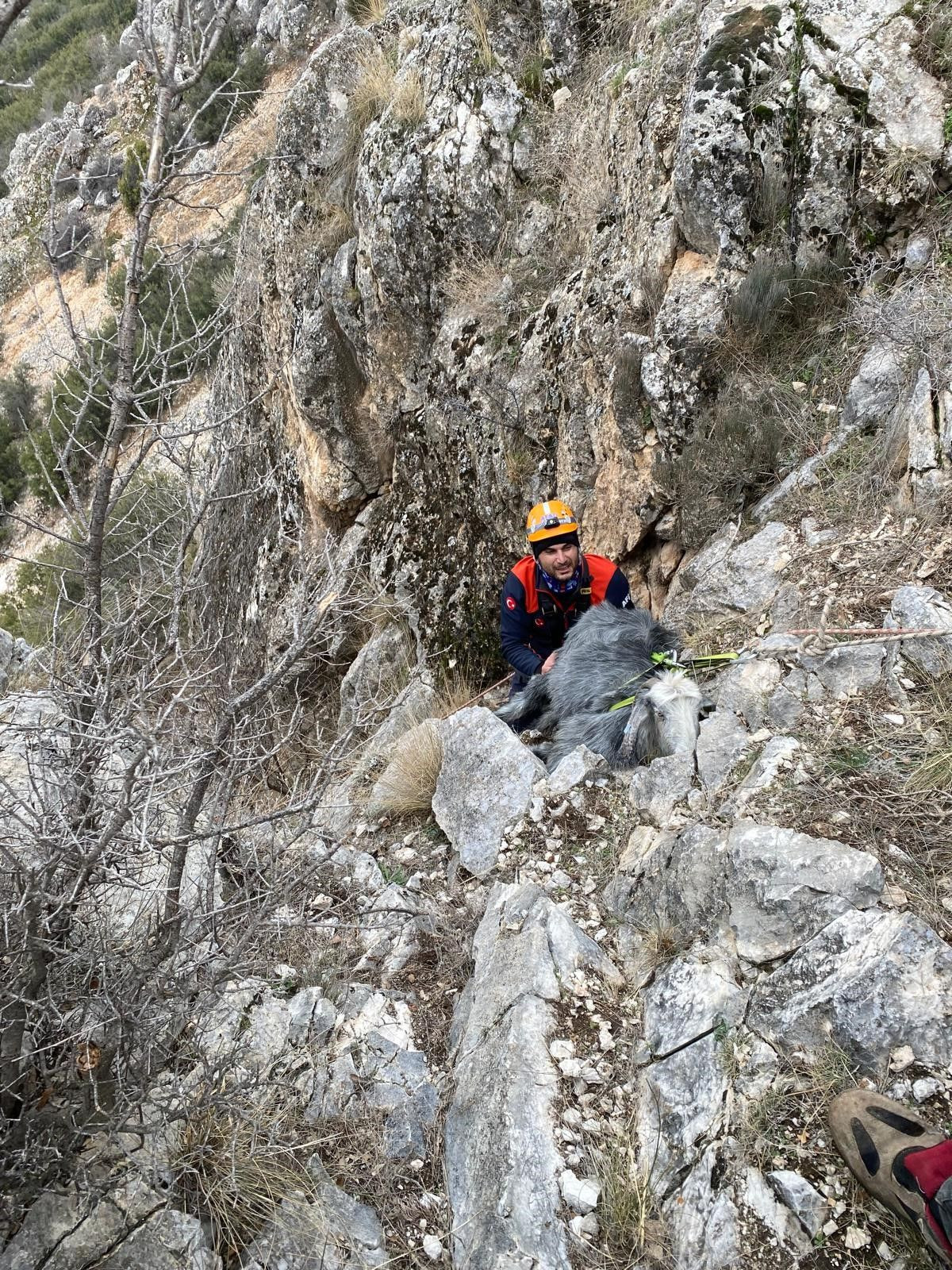 Burdur’da Dağda Mahsur Kalan Keçi AFAD Tarafından Kurtarıldı - Sayfa 1