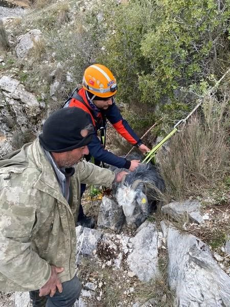 Burdur’da Dağda Mahsur Kalan Keçi AFAD Tarafından Kurtarıldı - Sayfa 5