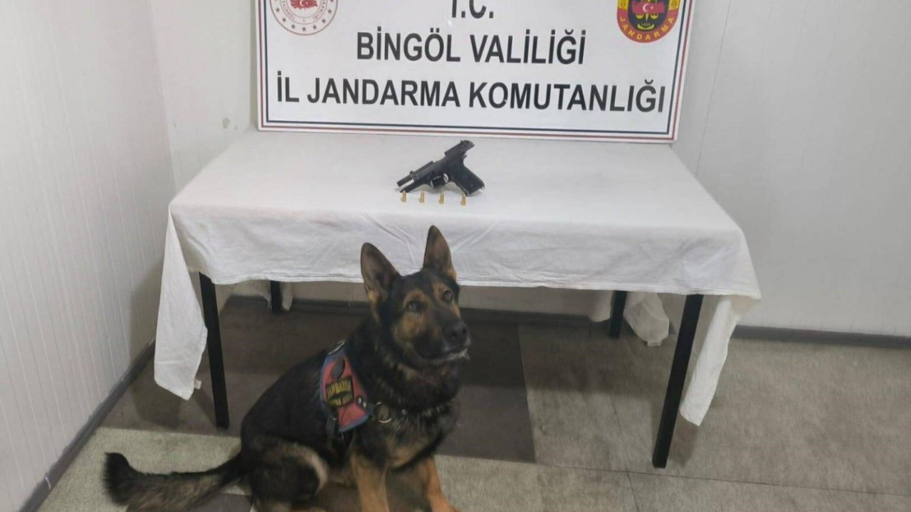 Bingöl’de Uyuşturucu ve Ruhsatsız Silah Operasyonu: 5 Şüpheli Gözaltında
