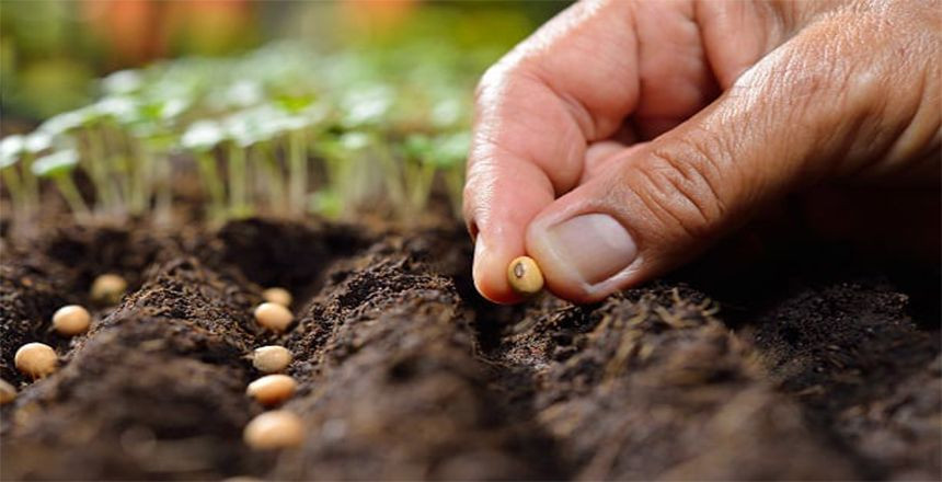 Bakan Yumaklı Duyurdu: Çiftçilere 2,3 Milyar Liralık Destek Ödemesi Bugün Hesaplarda! - Sayfa 6