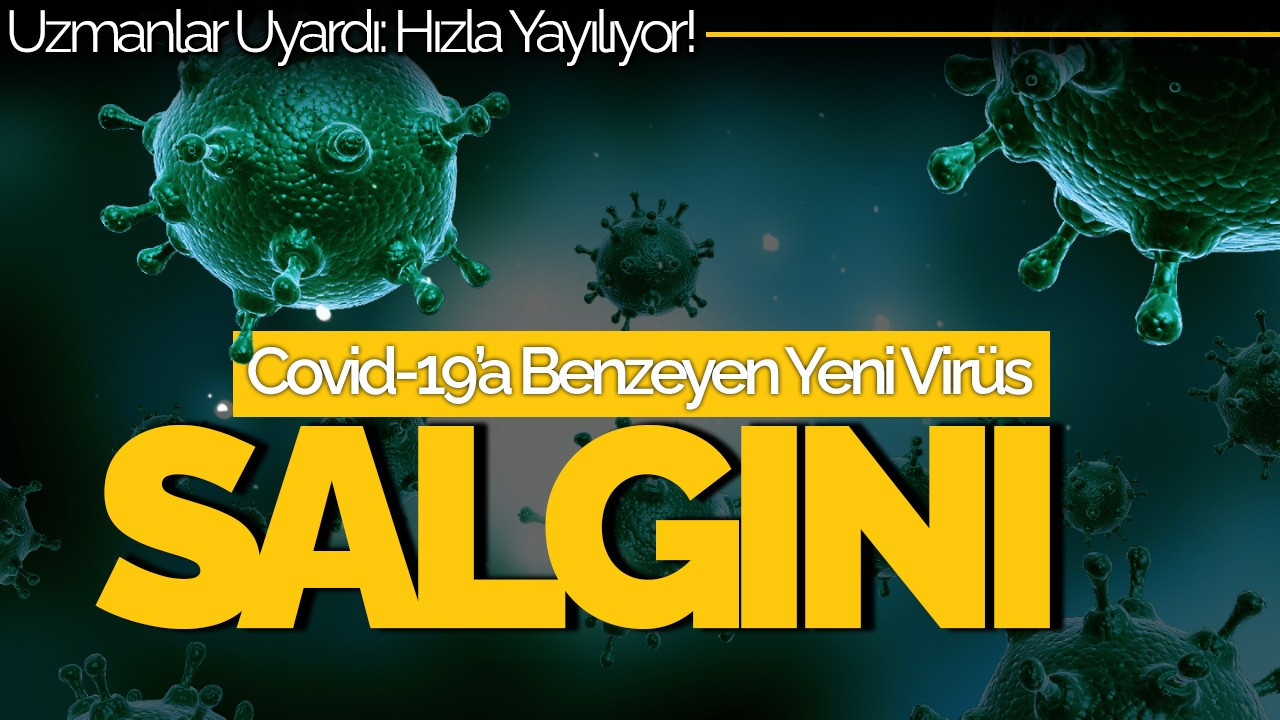 Covid-19’a Benzeyen Yeni Virüs Salgını: HMPV Hızla Yayılıyor!