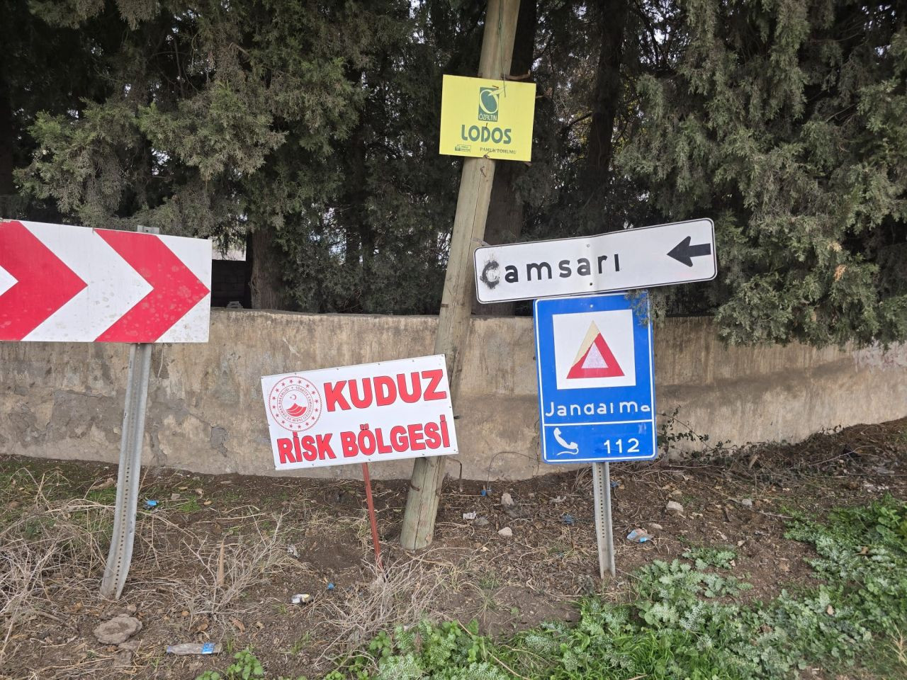 Hatay’da Kuduz Vakası: Mahalle Karantinaya Alındı - Sayfa 2