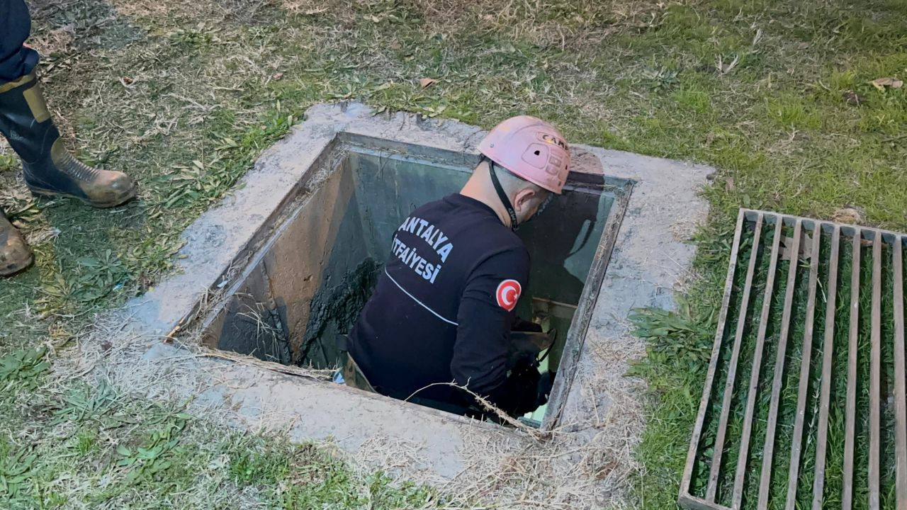 ‘Kanalizasyonda Çocuk Var’ İhbarı Ekipleri Harekete Geçirdi! - Sayfa 10