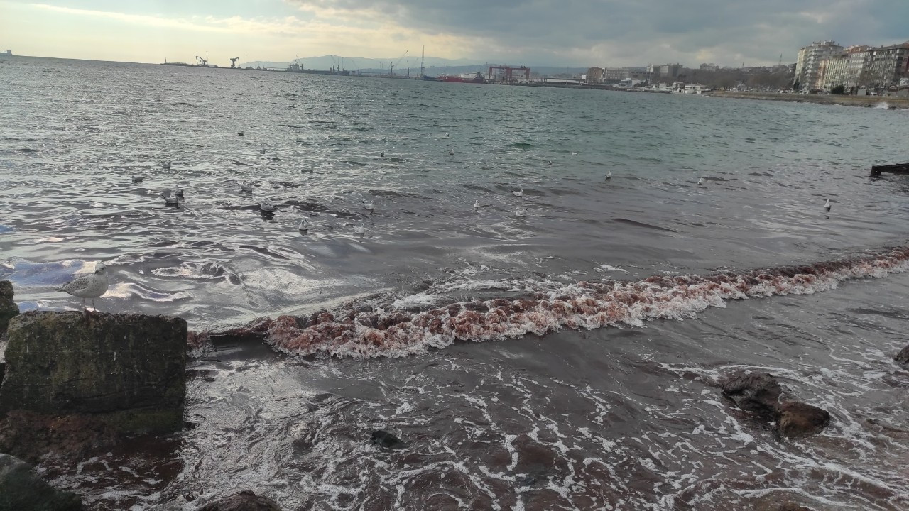 Poyraz Fırtınası Marmara Denizi'nin Kıyılarını Kızıl Renge Boyadı