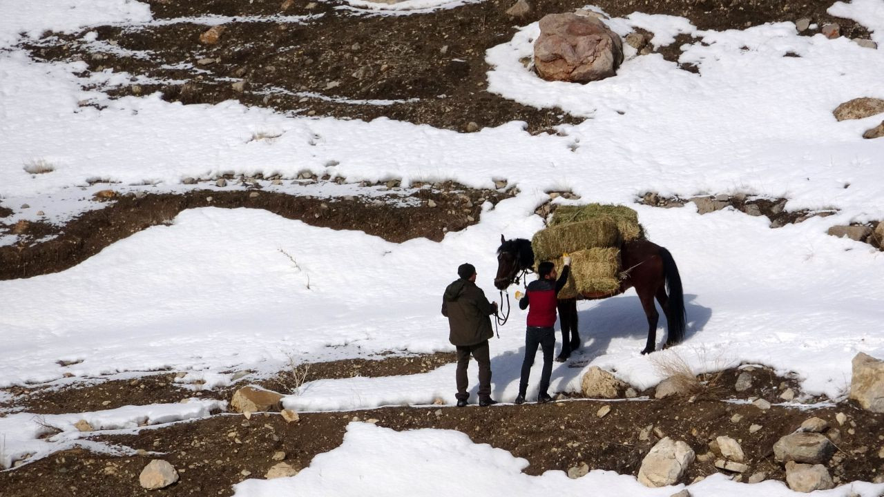 Uzmanı Uyardı: Doğaya Kontrolsüz Bırakılan Yem, Yaban Hayatına Zarar Verebilir - Sayfa 2