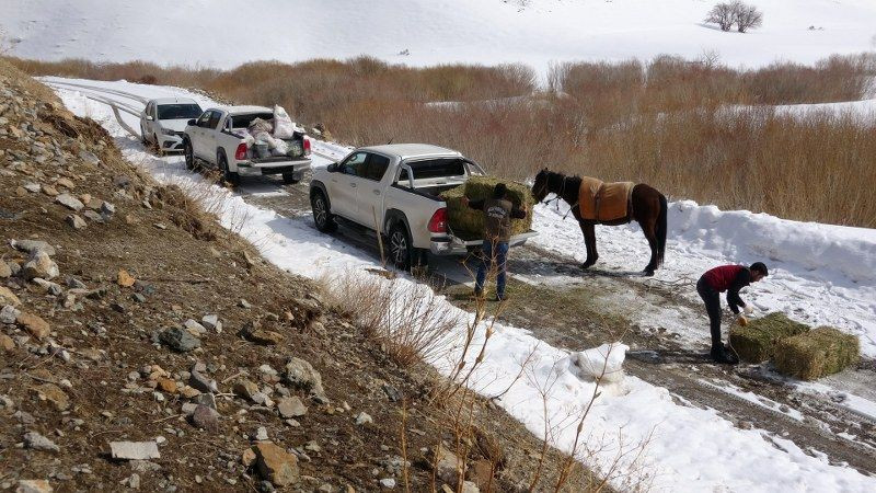 Uzmanı Uyardı: Doğaya Kontrolsüz Bırakılan Yem, Yaban Hayatına Zarar Verebilir - Sayfa 6