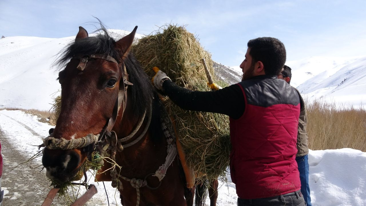 Uzmanı Uyardı: Doğaya Kontrolsüz Bırakılan Yem, Yaban Hayatına Zarar Verebilir - Sayfa 3