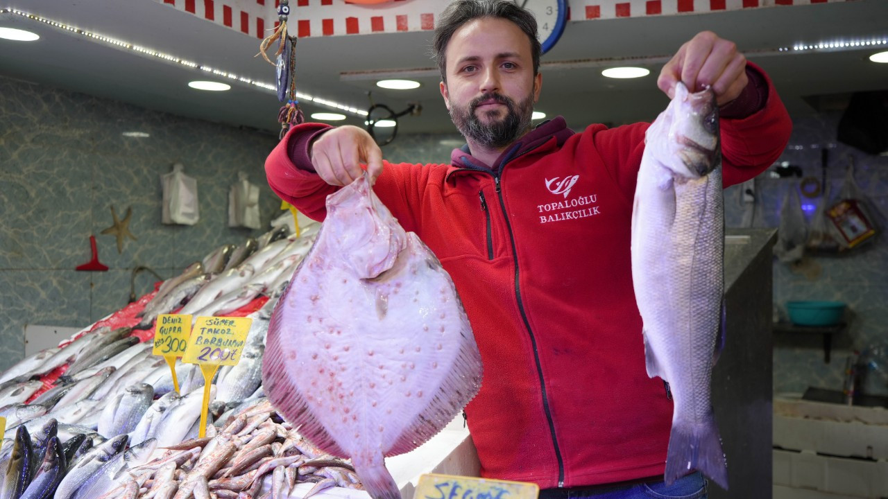 Karadeniz’de Mezgit Ve İstavrit Bolluğu