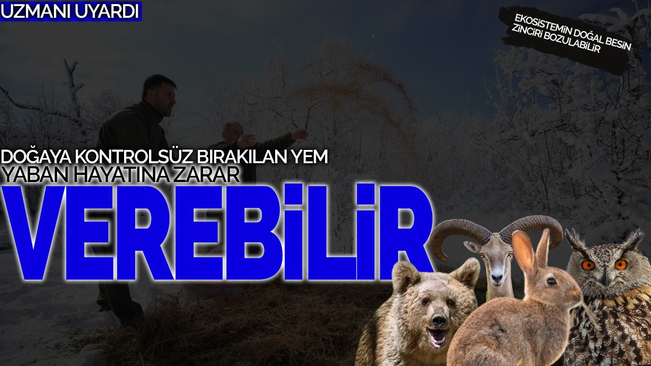 Uzmanı Uyardı: Doğaya Kontrolsüz Bırakılan Yem, Yaban Hayatına Zarar Verebilir