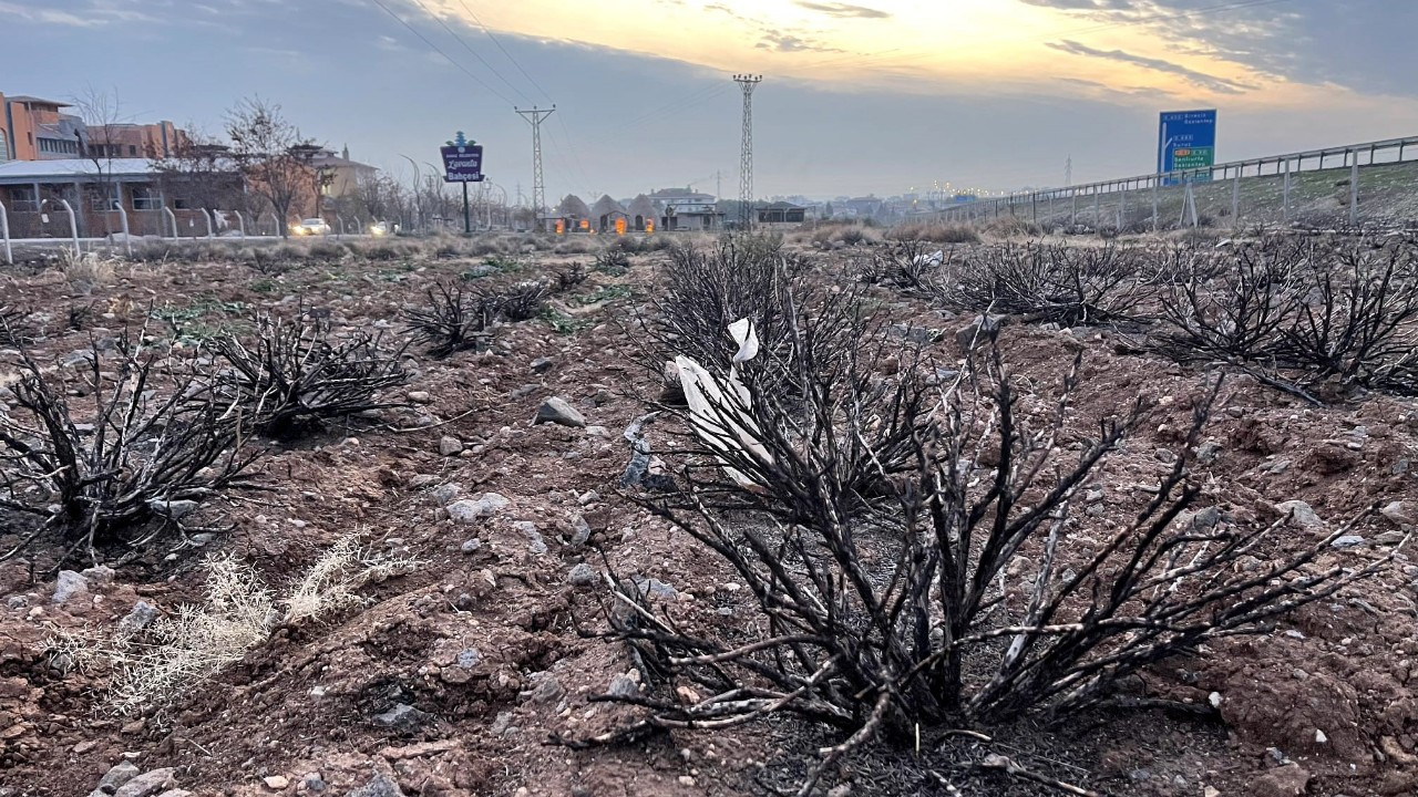 Şanlıurfa'da Lavanta Bahçesine Kilit Vuruldu!