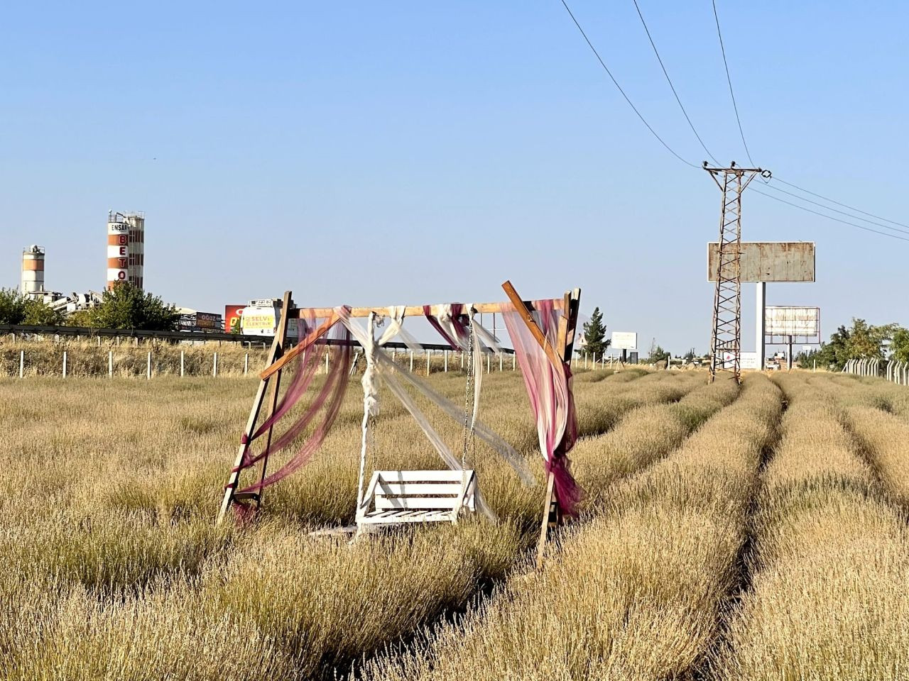 Şanlıurfa'da Lavanta Bahçesine Kilit Vuruldu! - Sayfa 7