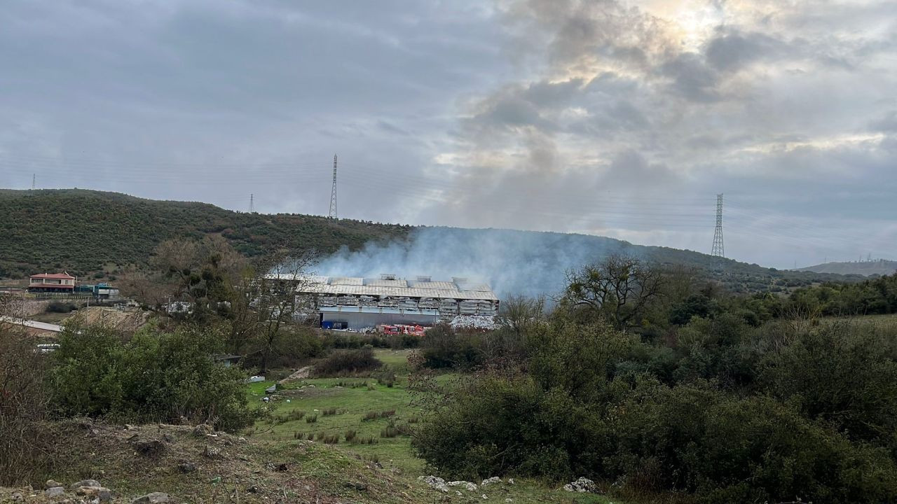 Kocaeli'de Kömür Üretimi Yapan Fabrikada Yangın Çıktı: 4 Saatte Kontrol Altına Alınabildi! - Sayfa 3