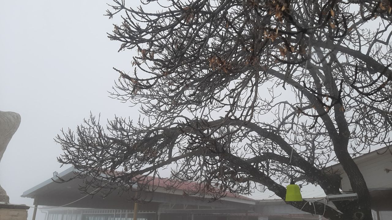 Elazığ’da Yoğun Sis Harput’u Kapladı: Görüş Mesafesi 3 Metreye Düştü - Sayfa 3