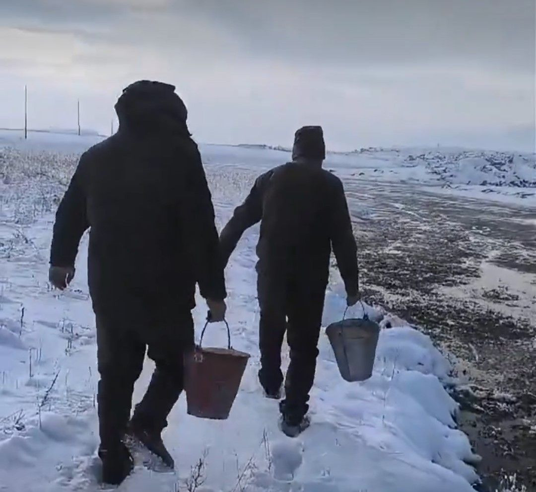 Van’da Yaban Hayvanları İçin Doğaya Yem Bırakıldı - Sayfa 2