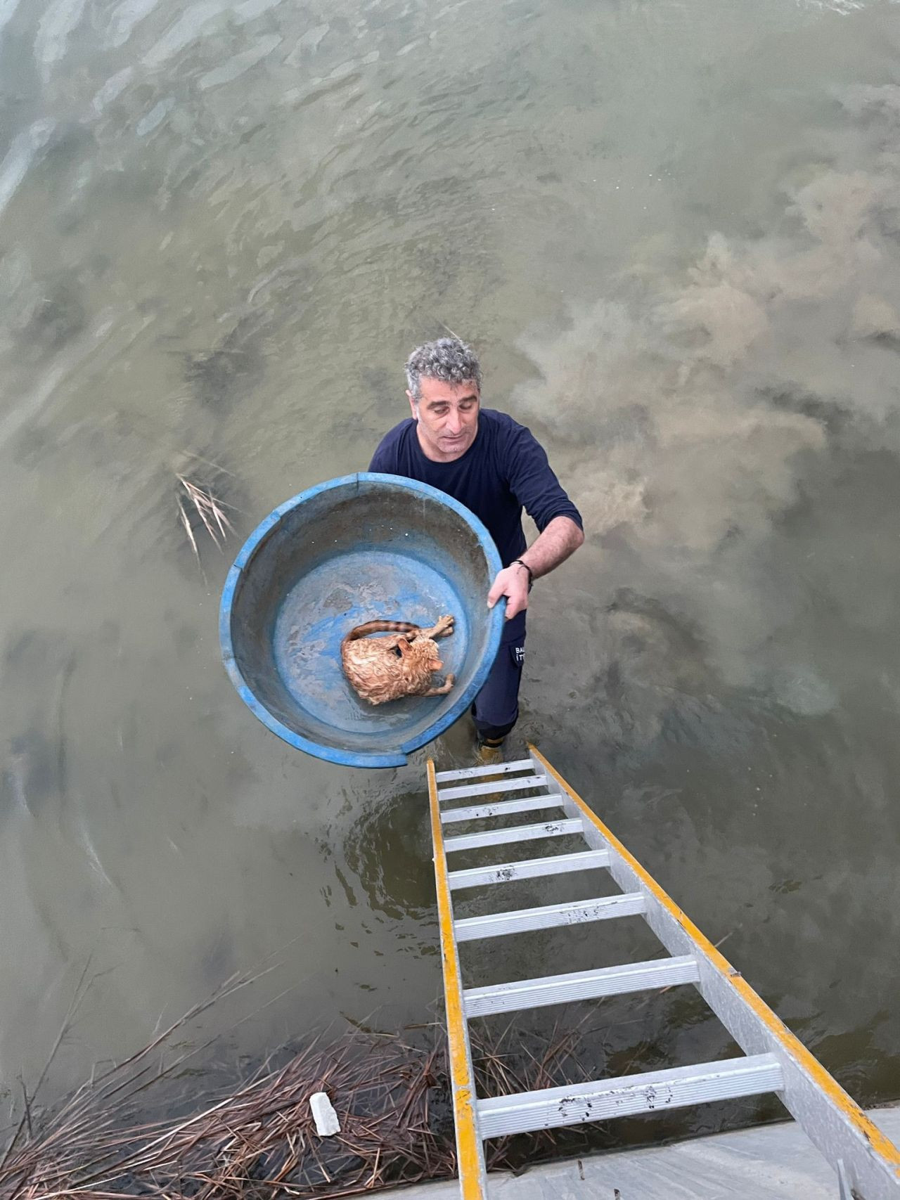 Köprü Altında Mahsur Kalan Kedi İtfaiye Ekipleri Tarafından Kurtarıldı - Sayfa 1