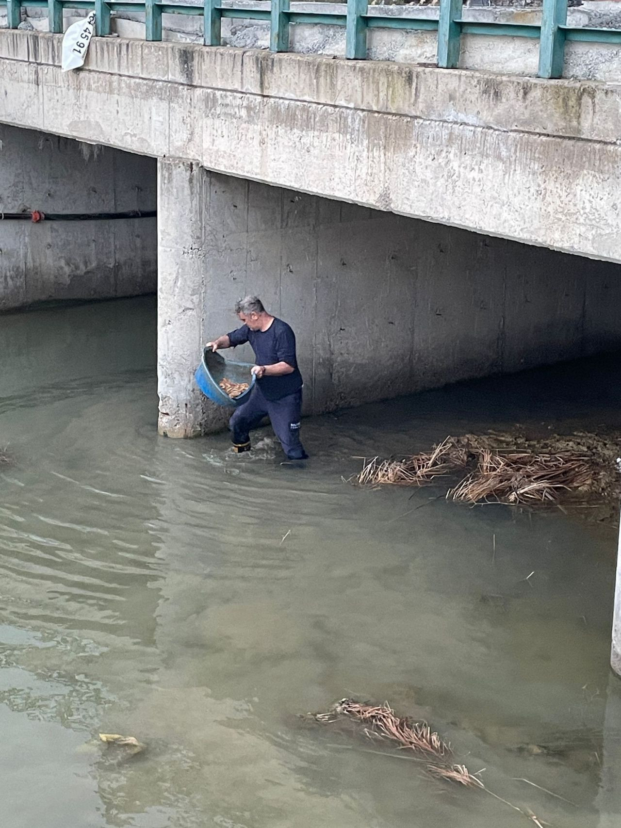 Köprü Altında Mahsur Kalan Kedi İtfaiye Ekipleri Tarafından Kurtarıldı - Sayfa 4