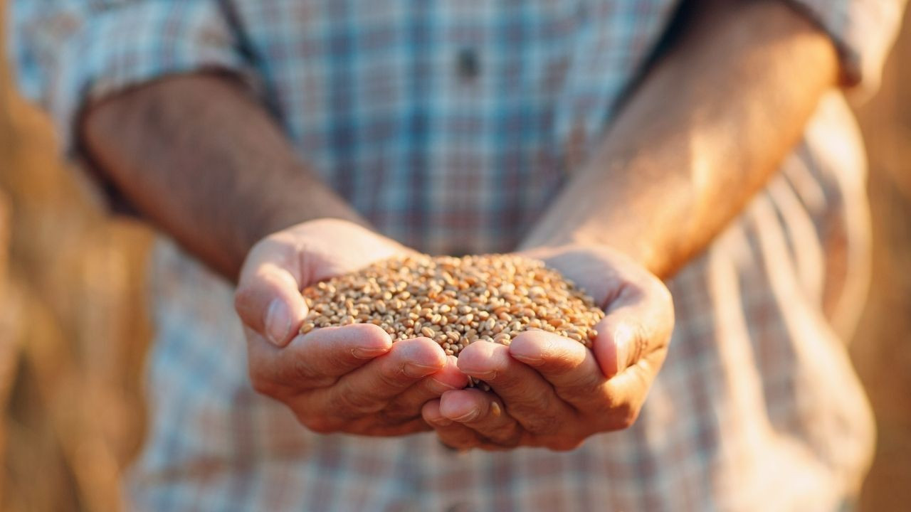 Tarım Sektörü Tarihi Başarıya İmza Attı: 2024'te 36,2 Milyar Dolar İhracat! - Sayfa 2