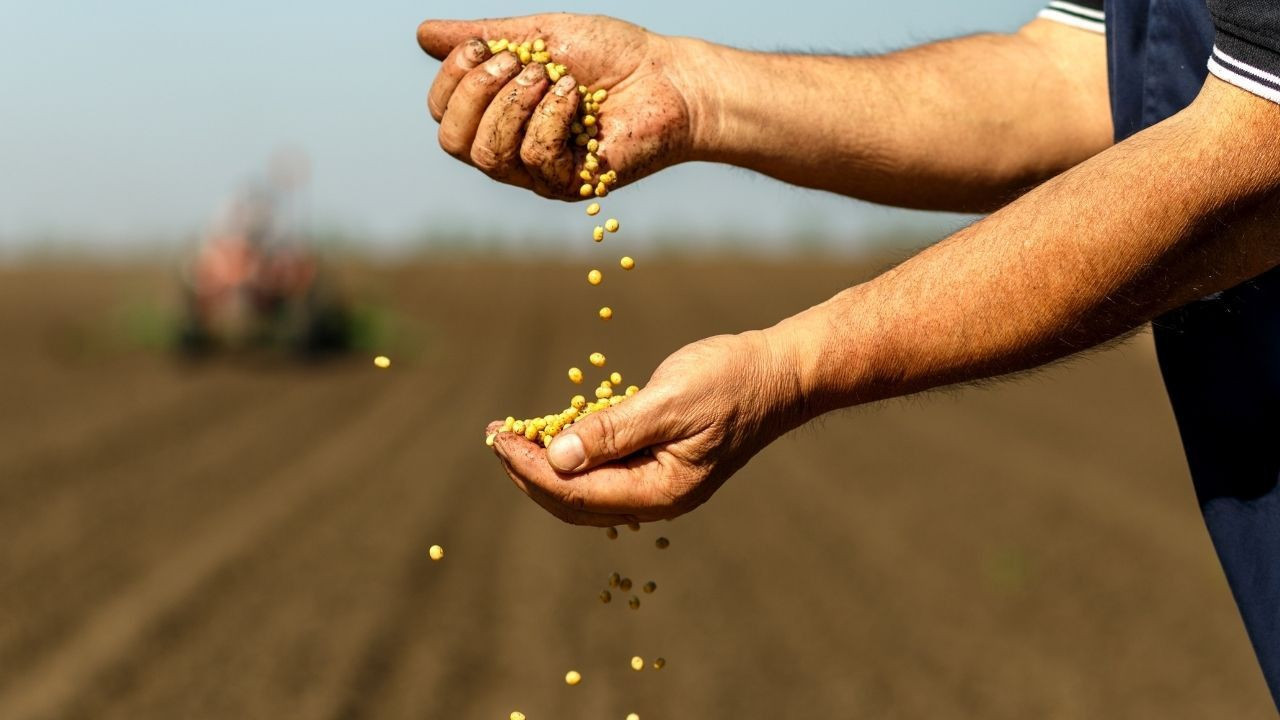 Tarım Sektörü Tarihi Başarıya İmza Attı: 2024'te 36,2 Milyar Dolar İhracat! - Sayfa 3