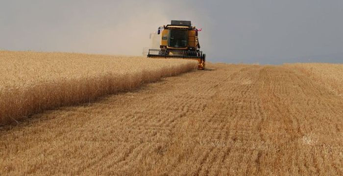 Bakan Yumaklı'dan Çiftçilere Büyük Destek: Yenilenebilir Enerji Kurulumu İçin Yüzde 75 Hibe Desteği! - Sayfa 1