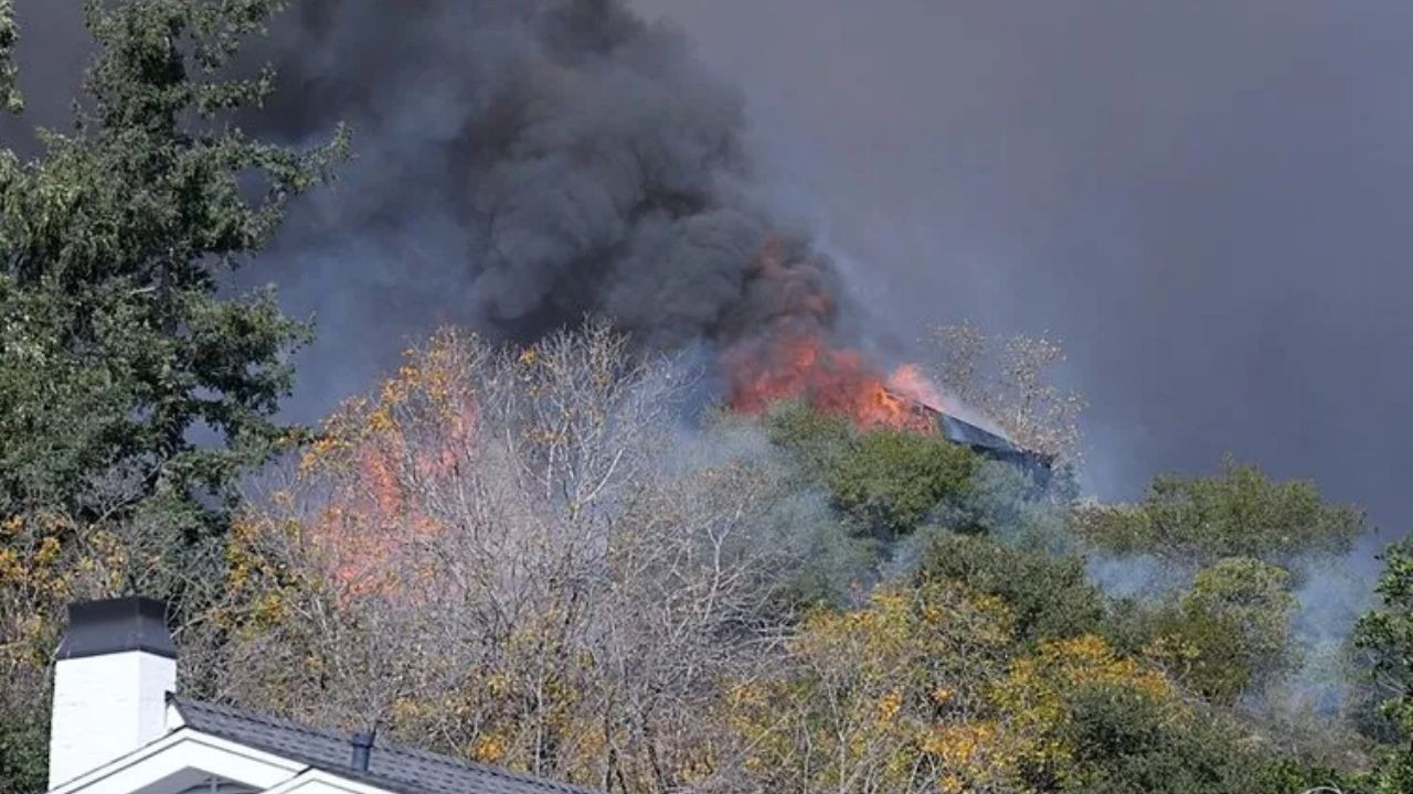 Los Angeles’taki Yangında Evi Yanan Gülistan: “Cehennemi Yaşadım” - Sayfa 8